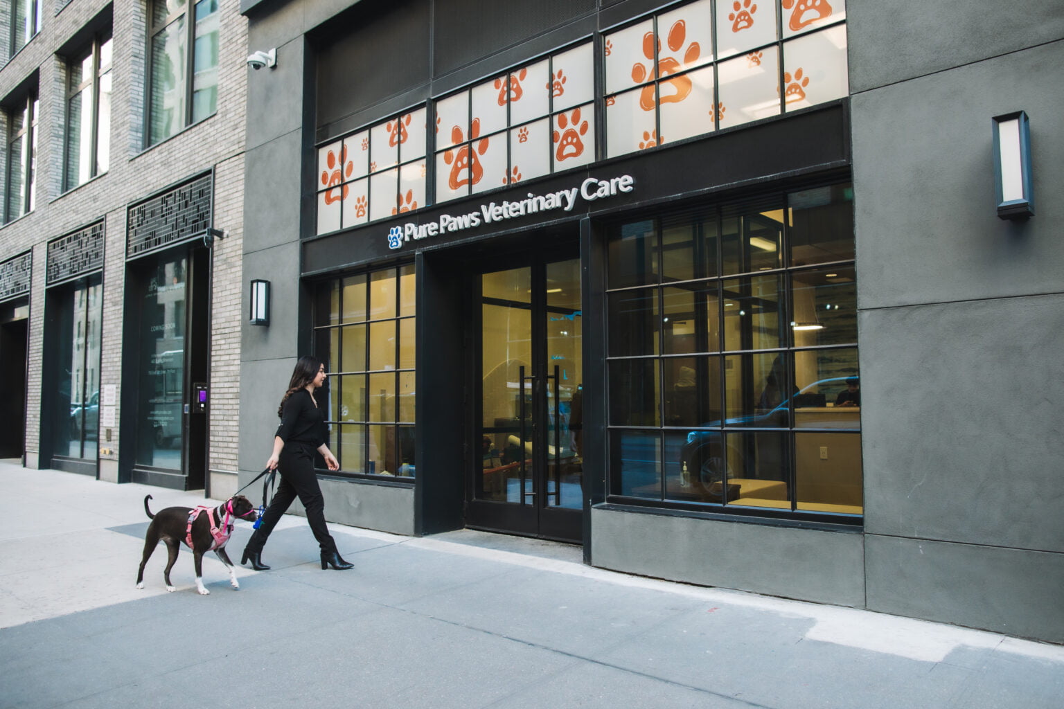 Hospitals Veterinary Practice Partners