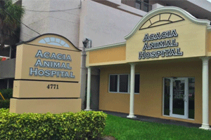 Acacia Animal Hospital