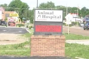 Animal Hospital of O'Fallon