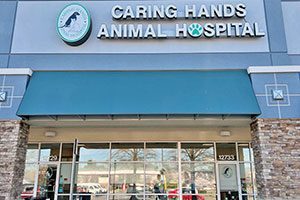 Caring Hands Animal Hospital - Bristow
