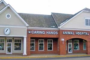 Caring Hands Animal Hospital - Centreville