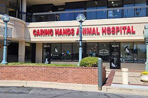 Caring Hands Animal Hospital - Rockville