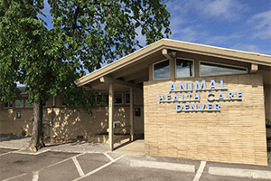 Animal Health Care Denver