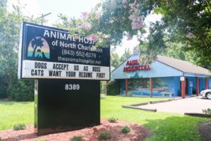 Animal Hospital of North Charleston