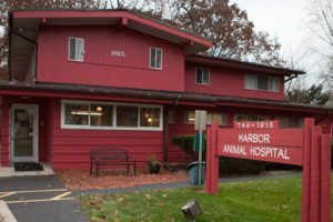 Harbor Animal Hospital