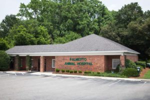 Palmetto Animal Hospital