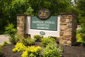Skippack Animal Hospital