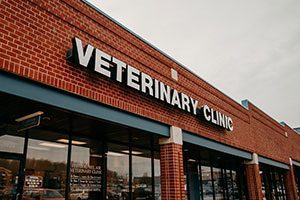 Festival Veterinary Clinic