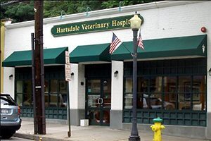 Hartsdale Veterinary Hospital