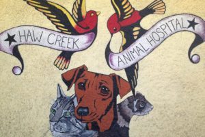 Haw Creek Animal Hospital