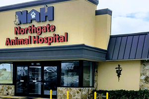 Northgate Animal Hospital