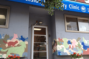 Northside Veterinary Clinic