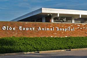 Olde Towne Animal Hospital