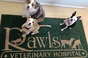 Rawls Veterinary Hospital
