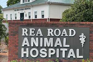 Rea Road Animal Hospital