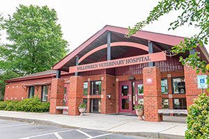 Willowrun Veterinary Hospital