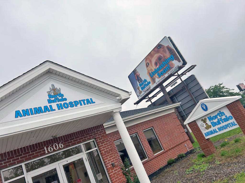 Greater buffalo animal sales hospital