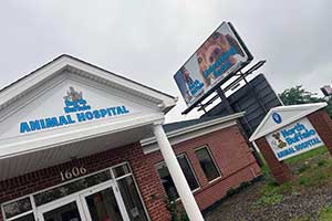 North Buffalo Animal Hospital