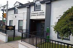 Overpeck Creek Animal Hospital