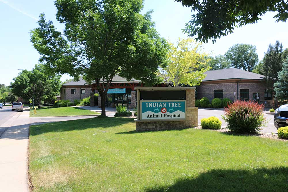 Indian Tree Animal Hospital