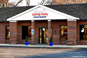 Loving Care Animal Hospital