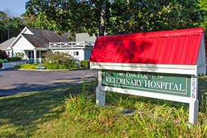 Pine Plains Veterinary Hospital