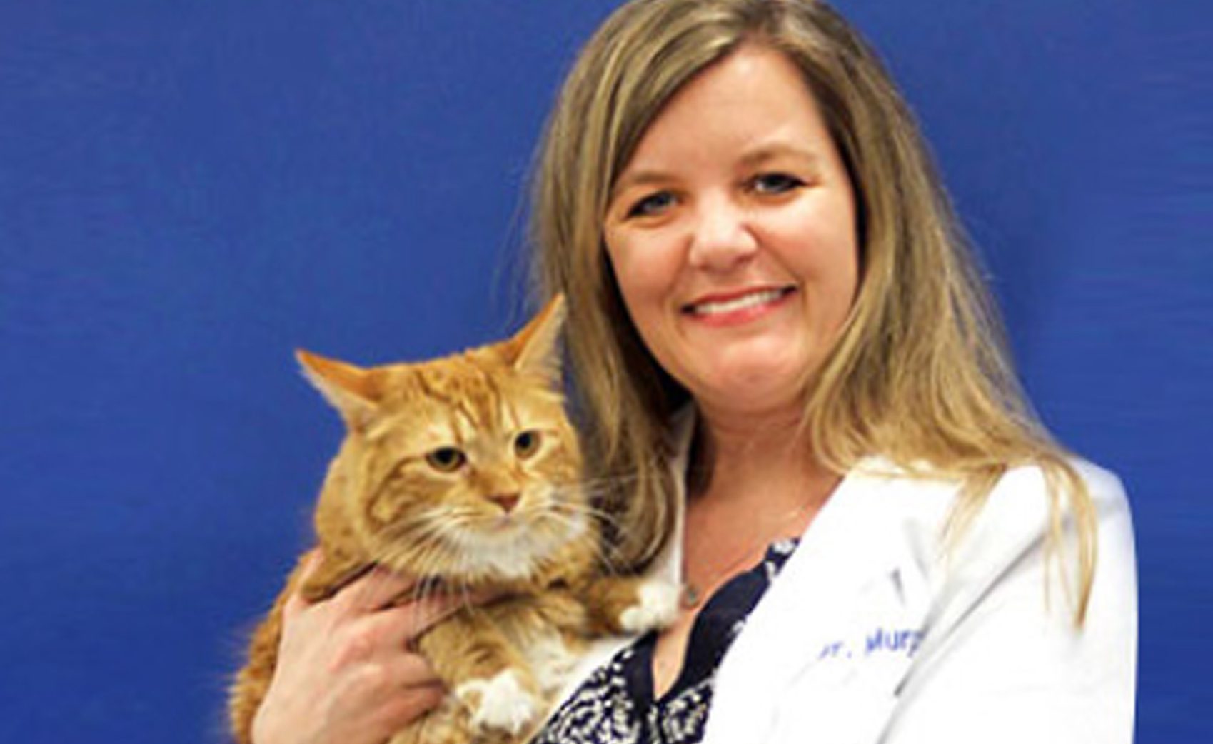 Vet Voices: Dr. Karen Murphy, Caring Hands Animal Hospital