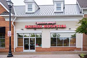 Dominion Valley Animal Hospital