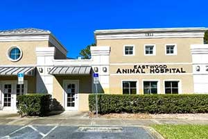 OrlandoVets - Eastwood Animal Hospital