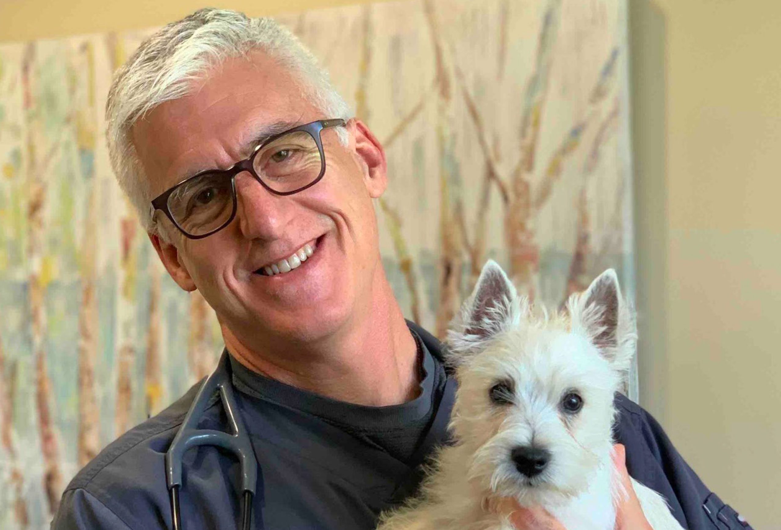 Veterinary Practice Partners - Dr. Stuart Robson