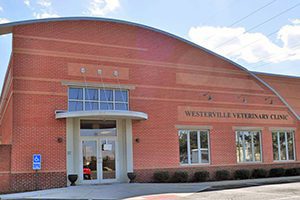 Westerville Veterinary Clinic